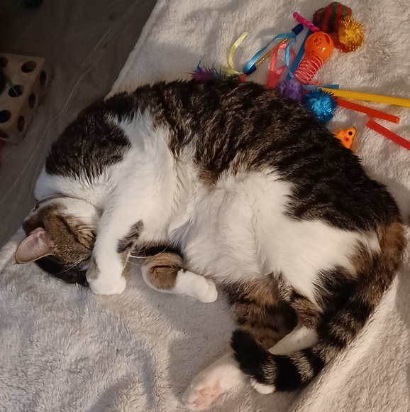 ☮️ Amber Marie ✌️ Poshmark Ambassador 👊 - Picture 8 of 16